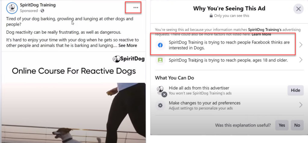 Why I'm seeing the SpiritDog Training Facebook Ad