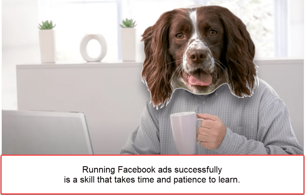 Facebook ads take skill to learn