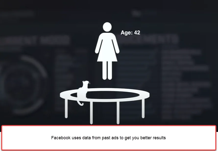 Facebook uses data from past ads to get you better results.