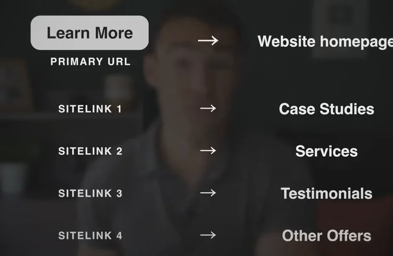 Example of sitelinks.