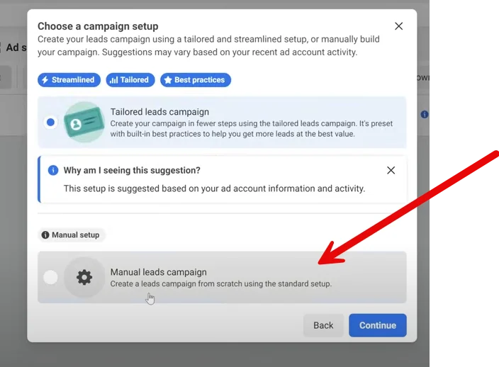 Select manual leads campaign set up.